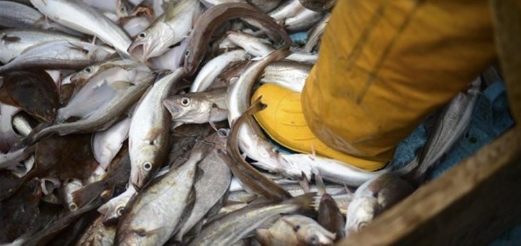 Σύλληψη δύο ατόμων για παράνομη αλιεία στη λίμνη Χειμαδίτιδα