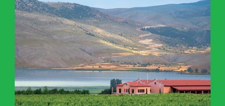 Αμύνταιο – κρασί – λίμνη Πετρών και Βεγορίτιδος