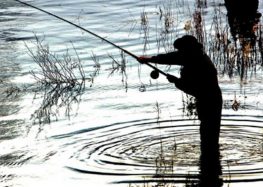 Ενημέρωση για επαγγελματικές άδειες αλιείας, επιτρεπόμενος αλιευτικός εξοπλισμός και λοιπές απαγορεύσεις