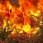 Η Πυροσβεστική Υπηρεσία Φλώρινας για τις δασικές πυρκαγιές