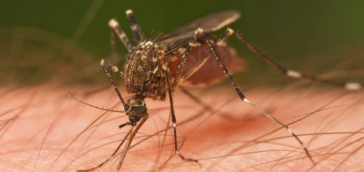 Ολοκληρώθηκε η πρώτη φάση της καταπολέμησης κουνουπιών στην Περιφέρεια Δυτικής Μακεδονίας
