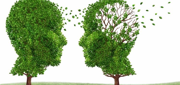 Έρευνα φοιτητών για το Αλτσχάιμερ – Συμπληρώστε το ερωτηματολόγιο