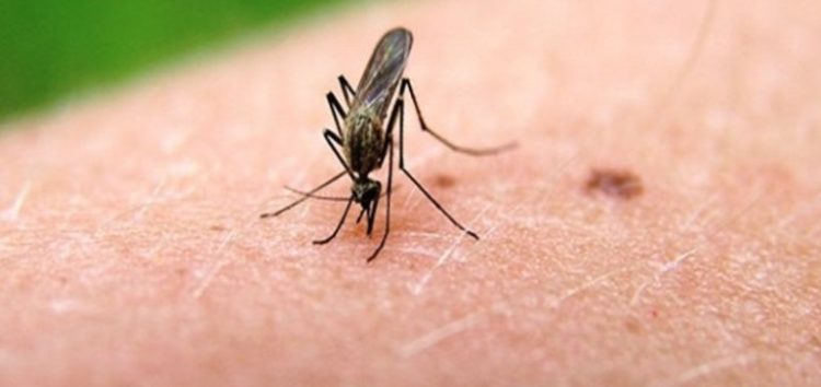 Δήμος Αμυνταίου: Μέτρα ατομικής προστασίας και πρόληψης ανάπτυξης κουνουπιών
