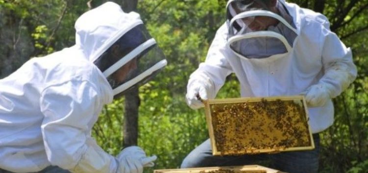 Γενική συνέλευση του Μελισσοκομικού Συλλόγου Δήμου Αμυνταίου