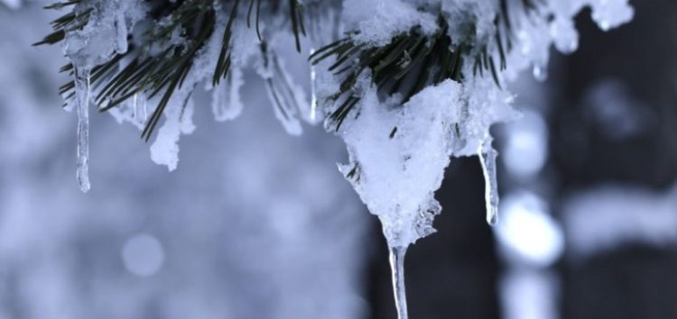 Ισχυρός παγετός στη Δυτική Μακεδονία – Στους -8,4 βαθμούς έπεσε η θερμοκρασία στη Φλώρινα