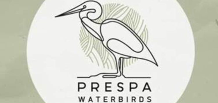 PrespaWings: Ανακαλύψτε τον κόσμο των πουλιών του υγροτόπου της Πρέσπας
