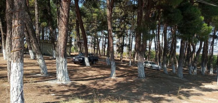 Συνεργασία του δήμου Αμυνταίου με τη Διεύθυνση Δασών και καθαρισμός στα Πευκάκια