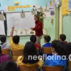 Παρουσίαση του βιβλίου «Δώσε λύση στο μελίσσι» στο 2ο Δημοτικό Σχολείο Φλώρινας (video, pics)