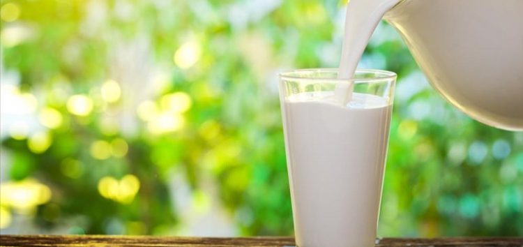 Είναι τελικά το γάλα «κακό» για τον ενήλικα άνθρωπο;
