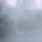 Σινιάκι: Η παγωμένη ομίχλη που «εξαφανίζει» τη Φλώρινα (video)