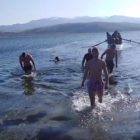 Τα Θεοφάνεια στη λίμνη Βεγορίτιδα (video)