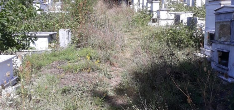 Σχολάζον κοιμητήριο Αγίου Νικολάου και έκκληση οικονομικής βοήθειας για τον καθαρισμό του