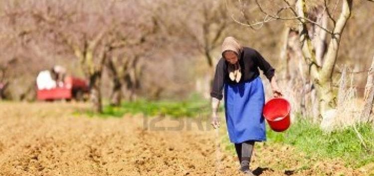 Ο Αγροτικός Σύλλογος Δήμου Αμυνταίου για την Παγκόσμια Ημέρα Αγρότισσας