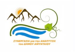 Ανακοίνωση της παράταξης «Συνεργασία για την Ανάπτυξη του Δήμου Αμυνταίου»