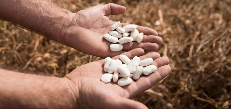 Η τεχνολογία στα «χέρια» των αγροτών της Πρέσπας (pics)