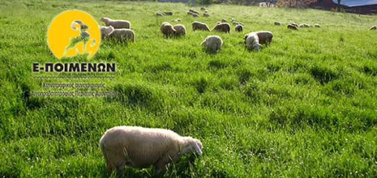 Ενημέρωση από τον Κτηνοτροφικό Συνεταιρισμό Αιγοπροβατοτροφίας περιοχής Αμυνταίου για το πρόγραμμα νέων αγροτών