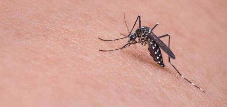 Οδηγίες από τη Διεύθυνση Δημόσιας Υγείας της Περιφέρειας Δυτικής Μακεδονίας για προστασία από τα κουνούπια