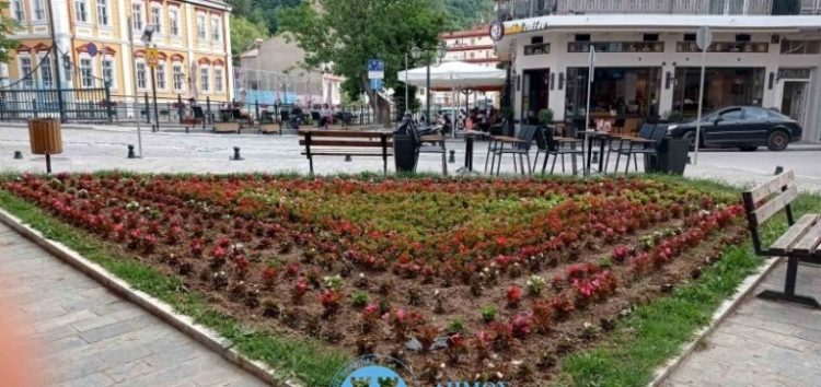 Φυτεύσεις λουλουδιών στην πόλη της Φλώρινας (pics)