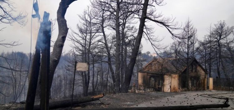 Δήμος Αμυνταίου: Συγκέντρωση βοήθειας για τις πυρόπληκτες περιοχές