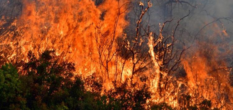 Δήμος Φλώρινας: Συγκέντρωση βοήθειας για τις πυρόπληκτες περιοχές