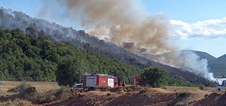 Πρέσπες: Μεγάλη φωτιά στα Ελληνοαλβανικά σύνορα