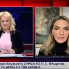 H Π. Πέρκα στο Flash Δυτικής Μακεδονίας: «Είναι πολιτική επιλογή να μην υπάρχει άμεση στήριξη στη Φλώρινα» (video)