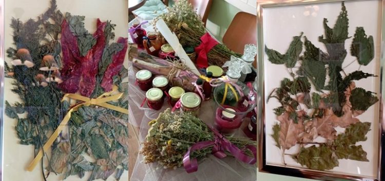 Όμορφη έκθεση λουλουδιών και βοτάνων από την Φλωρινιώτικη γη της κας Αναστασίας Χαρίση