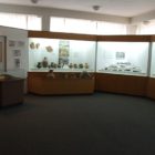 Όλη η Ελλάδα ένας πολιτισμός – Εκδηλώσεις στο Αρχαιολογικό Μουσείο Φλώρινας