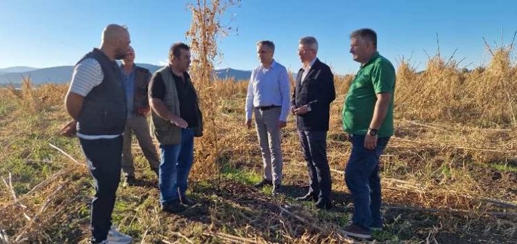 Κλιμάκιο Γεωπόνων του ΕΛΓΑ βρίσκεται στις πληγείσες περιοχές Πρεσπών και Καστοριάς για την εκτίμηση των ζημιών στις καλλιέργειες φασολιών και κόκκινης πιπεριάς