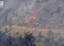 Δασική πυρκαγιά στη Φλώρινα και τις Πρέσπες το 1988 (video)
