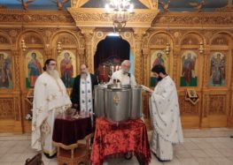 Υποδοχή τεμαχίου του ιερού λειψάνου του Αγίου Τρύφωνος στο Αμύνταιο (pics)
