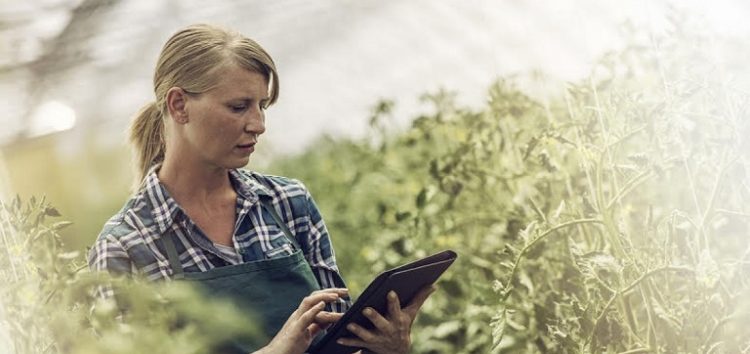Ο ευρωπαϊκός οργανισμός EIT Food ανοίγει το νέο κύκλο του προγράμματος επιχειρηματικότητας για γυναίκες που δραστηριοποιούνται στον τομέα της αγροδιατροφής