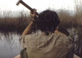 Πρέσπες 1987 – Ερευνητές στην μικτή αποικία πελεκάνων της Βρωμολίμνης (video)