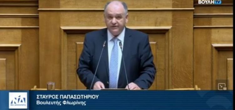 Σταύρος Παπασωτηρίου: «Πρωτοβουλία εθνικής σημασίας η διευκόλυνση της συμμετοχής των αποδήμων Ελλήνων στα κοινά» (video)