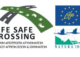 Τριήμερο δημόσιων εκδηλώσεων του LIFE Safe Crossing σε Καστοριά, Αμύνταιο και Κοζάνη