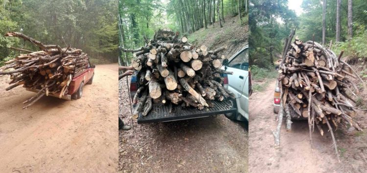 Ολοκληρώθηκε η συλλογή κατακείμενων ξύλων στο λόφο Αγίου Παντελεήμονα από δημότες του Δήμου Φλώρινας