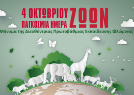 Μήνυμα για την Παγκόσμια Μέρα των Ζώων της Διευθύντριας Πρωτοβάθμιας Εκπαίδευσης Φλώρινας