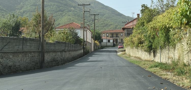 Συνεχίζονται οι ασφαλτοστρώσεις σε κοινότητες του Δήμου Φλώρινας (pics)