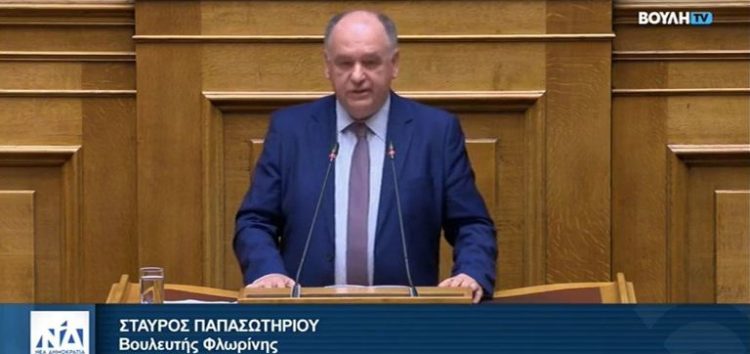 Τοποθέτηση του βουλευτή Σταύρου Παπασωτηρίου σε νομοσχέδιο του Υπουργείου Εργασίας και Κοινωνικής Ασφάλισης (video)