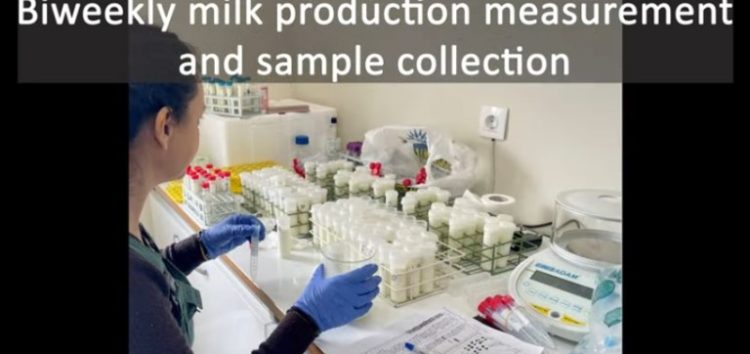 Σχολή Γεωπονικών Επιστημών: Αξιοποίηση υποπροϊόντων της βιομηχανίας παραγωγής χυμών (πορτοκάλι) για την παραγωγή βελτιωμένων συστατικών ζωοτροφών για μικρά μηρυκαστικά (πρόβατα)