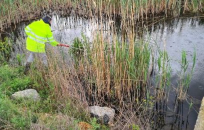 Π.Ε. Φλώρινας: Συλλογή δειγμάτων νερού από τη λίμνη Χειμαδίτιδα