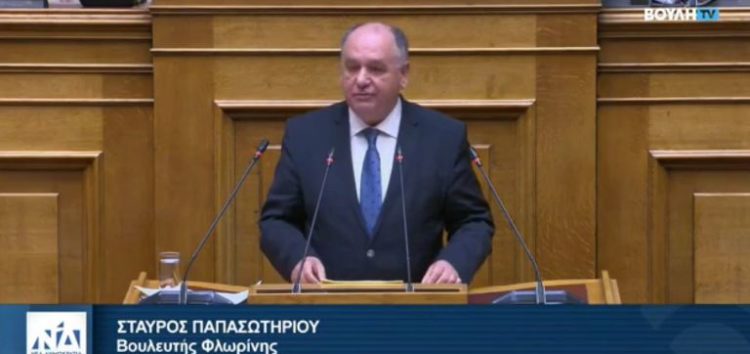 Στ. Παπασωτηρίου: «Η ΝΔ ενισχύει με νέους πόρους τη στήριξη της ελληνικής οικογένειας»