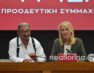 Στη Φλώρινα η βουλευτής και τομεάρχης Εξωτερικών του ΣΥΡΙΖΑ Ρένα Δούρου (video)